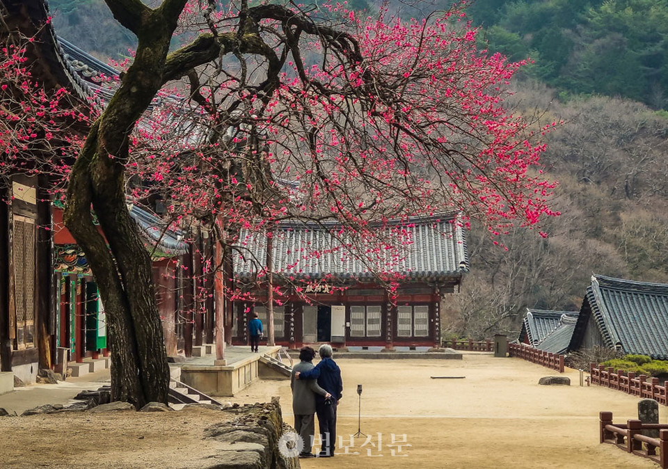 교구장스님상 수상작.