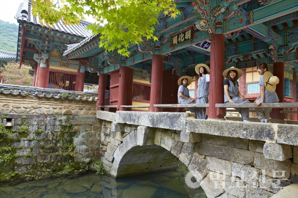 송광사 여름템플스테이 모습. 사진=한국불교문화사업단