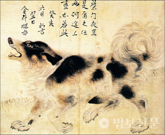 김두량 作 ‘삽살개’, 지본수묵담채, 35×45cm, 1743년, 개인소장.