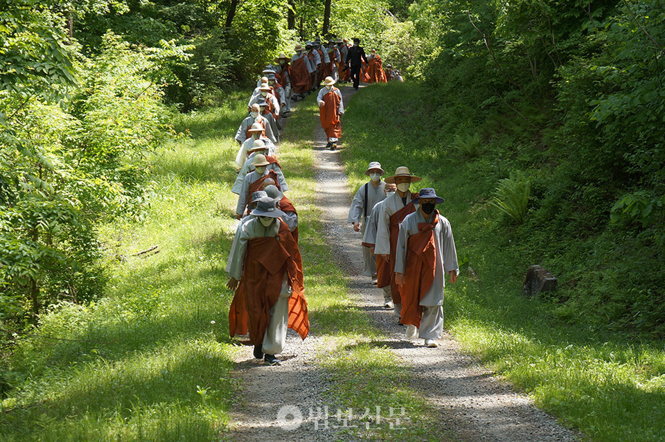 올해 5월 남양주 봉선사에서 진행된 ‘천년 숲을 걷다, 자비순례’.