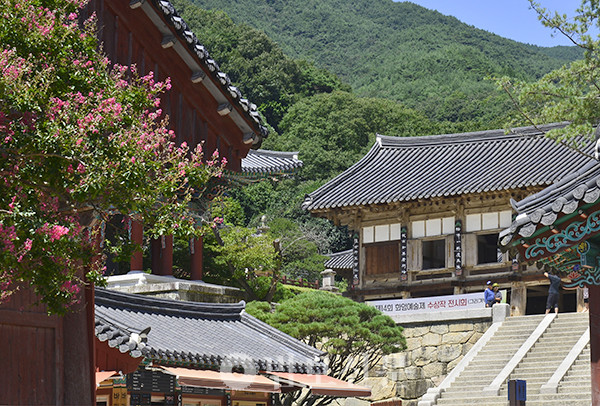 일흔여덟 사진사가 한손으로 찍는 화엄사 전경.