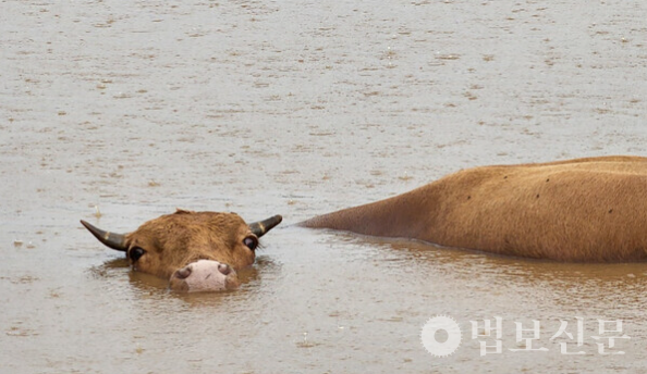 [조계종사회복지재단]