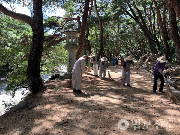 9월6일 태풍이 지나간 뒤 통도사 사부대중이 무풍한송로 도량 청소 운력 중이다. 사진제공=통도사.