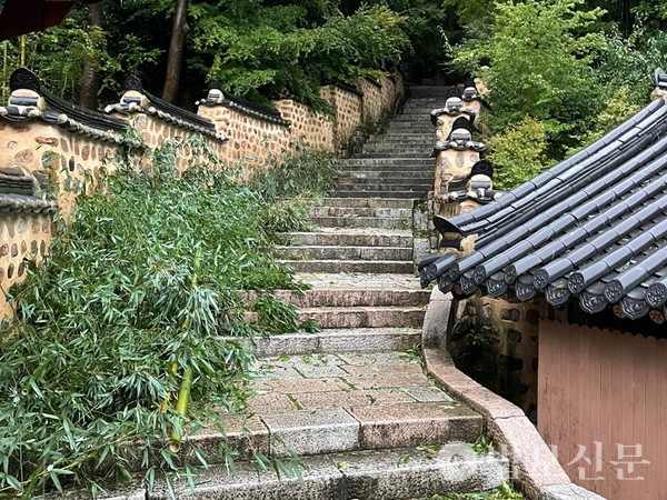 태풍 직후 범어사 도량 현장. 사진제공=범어사.