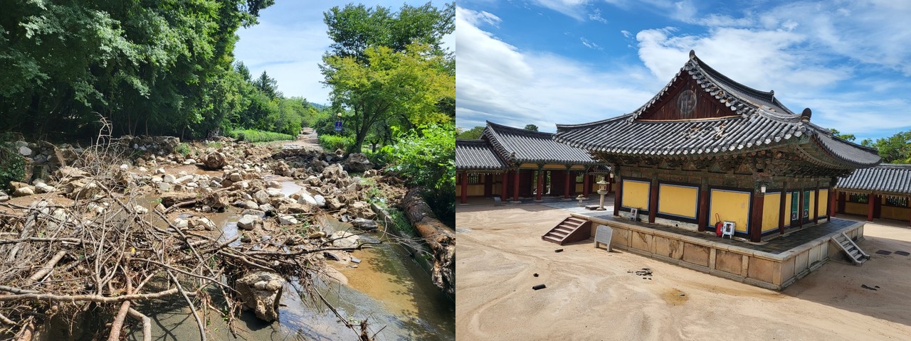 불국사 극락전 기와 탈락, 주변 수목 피해. [문화재청]