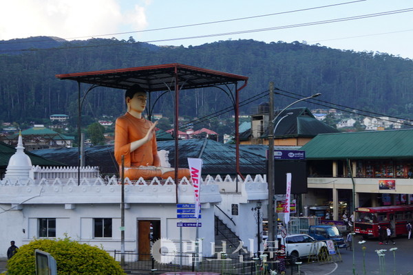 시내 한복판에 모셔진 거대한 불상. 스리랑카가 불교의 나라임을 보여준다.