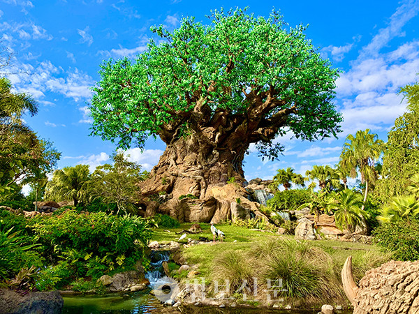 미국 디즈니월드의 생명의 나무. 높이 44m로 표면에 325종의 동물이 새겨져 있고 8000개의 가지에는 10만개의 잎을 만들어 달았다. [위키미디어 커먼즈]