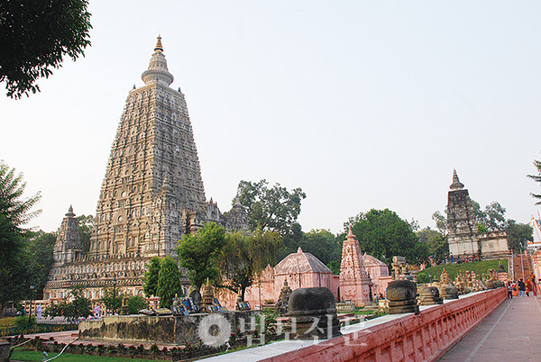 인도성지순례길에 반드시 마주하게 되는 부처님 성도지 보드가야의 마하보디대탑.