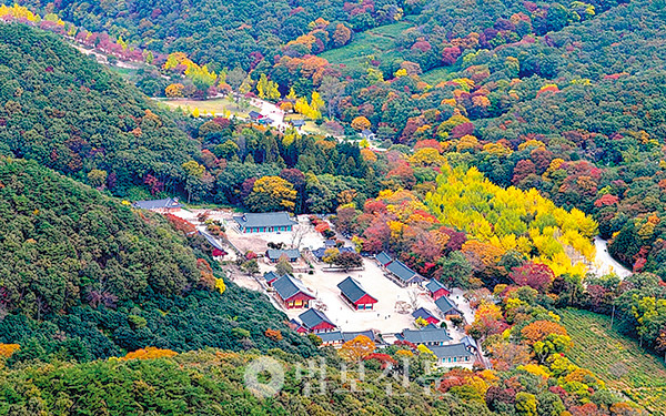 도솔산 북쪽 기슭에 자리한 선운사 전경.