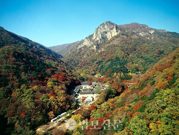 백양사는 1916년 7월 7일 만암 스님이 주지로 취임하며 지금의 사격을 갖추었다. [출처=문화유산청]
