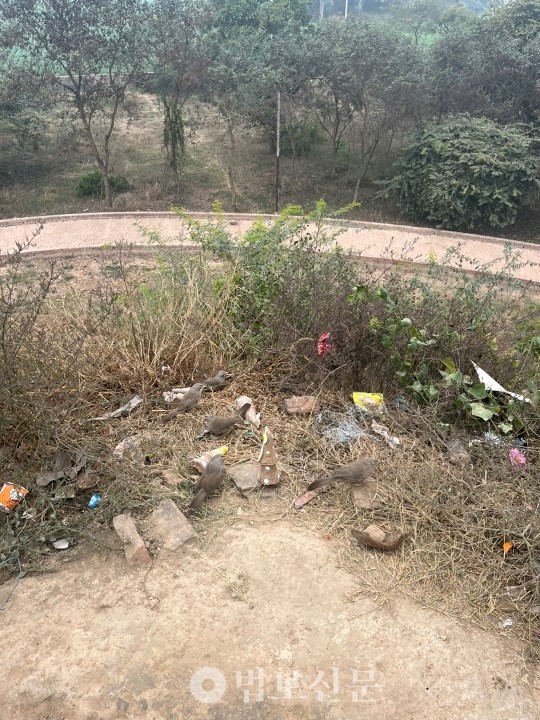 상카시아 언덕 입구 사진.                                                           사진=강창후