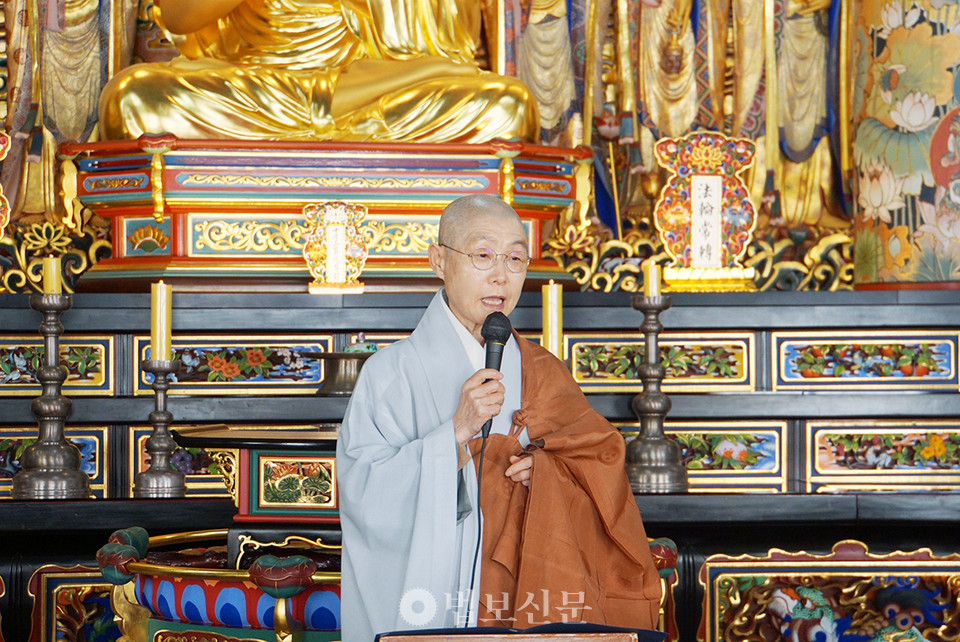 법인향림 이미지