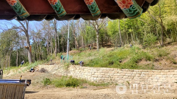 전각 주위로 화재 방지 작업을 진행하고 있다.