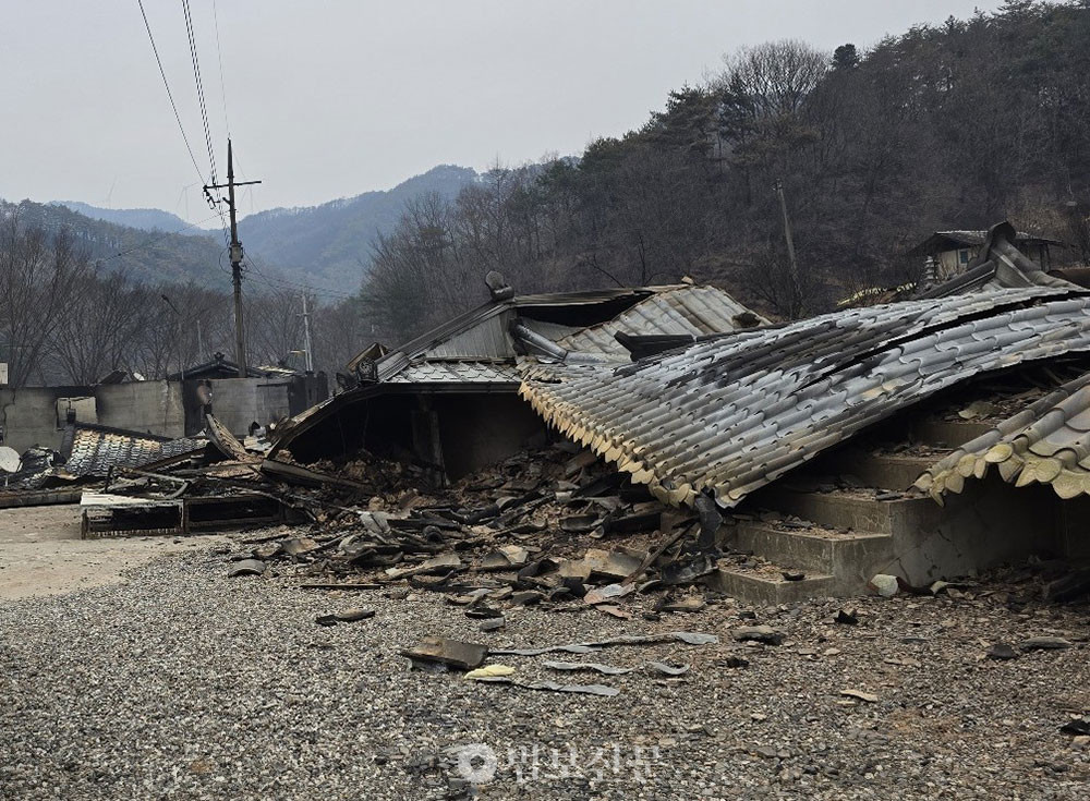 영양군 석보면에 위치한 법화종 소속 법성사가 산불로 피해를 입었다. 특히 사찰을 지키던 주지 혜강당 선정 스님이 대웅전 인근 건물에서 화재로 입적한 사실이 확인돼 불자들의 안타까움을 더하고 있다.사진=강원교구 종무원장 승일 스님·법화종 총무원 재무부장 현봉 스님