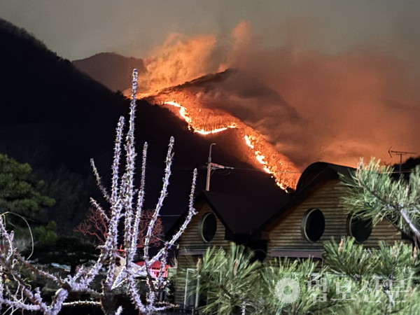 울산 대운산 산불 현장. 사진제공= 울산사암연합회.