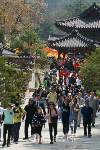 평창 오대산 월정사와 법보신문, 강원도민일보는 5월5일 어린이날을 맞아 월정사 일대에서 ‘오대산 천년 숲 선재길 걷기대회-야~숲이다’를 개최했다.