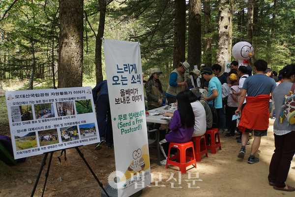 오대산 월정사는 2004년부터 ‘오대산 선재길 걷기대회’를 열어 상생과 화합, 평화의 메시지를 전달해 왔다. 사진은 2019년 열린 오대산 선재길 걷기대회 모습. [법보신문DB]