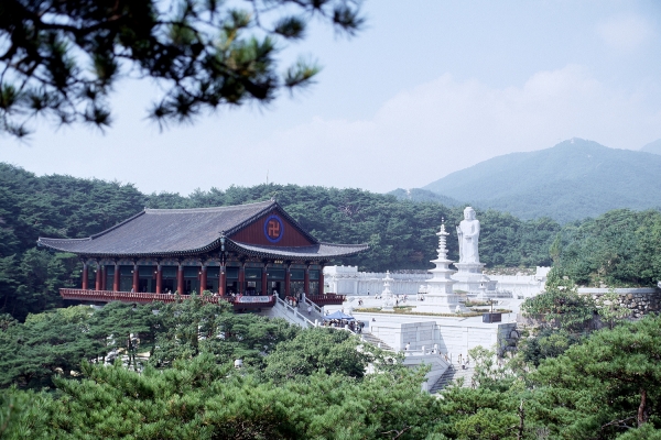 조계종 제9교구본사 동화사 주지 후보 선출을 위한 산중총회가 11월 14일 오후 1시 동화사 설법전에서 열린다. 교구선거관리위원회(위원장 도민 스님)는 11월 4일 오후 5시 후보 등록을 마감한 결과, 홍관 스님·법광 스님·선광 스님·혜범 스님·현장 스님 등 다섯 명이 입후보했다고 밝혔다. 주지 후보자 자격심사와 산중총회 구성원 명부 확정은 조계종 중앙선거관리위원회(위원장 태성 스님)가 11월 11일 오후 2시 회의를 통해 확정할 예정이다. 이번 산중총회는 팔공총림 해제와 전 주지 혜정 스님의 사직에 따른 후임 선출 절차로, 교구 내외의 관심이 집중되고 있다. 