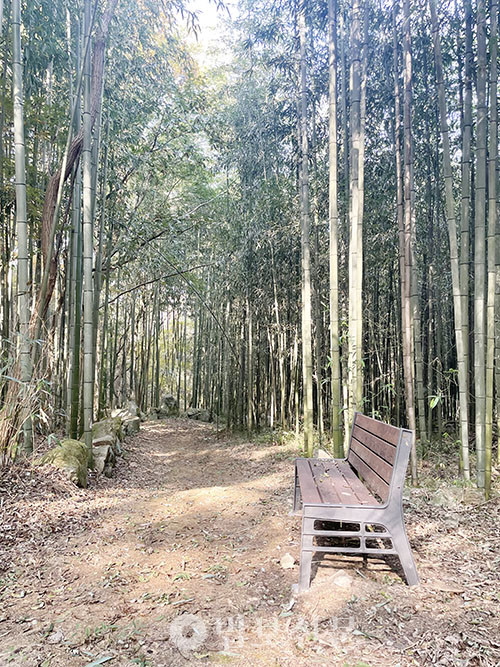 종진 스님이 직접 낫을 들고 풀을 베어가며 길을 냈다.