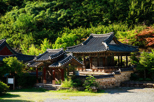 영남 <b>산불</b>로 <b>국가</b>지정 성보 7건 <b>피해</b>